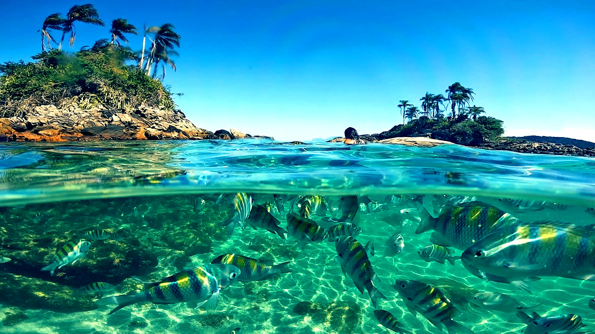 Angra dos Reis - Saídas diárias 2025