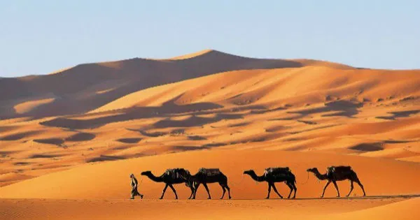Marrocos com Cidade Azul & Deserto do Saara - Setembro de 2025